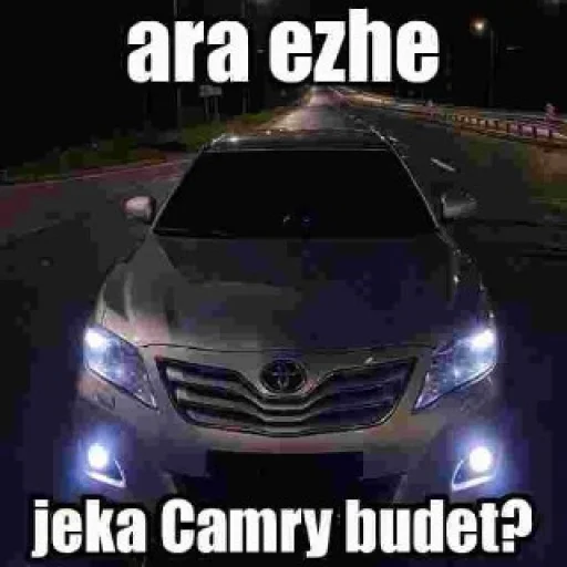 Sticker oneofcars_by_EmojiRu_Bot - 1