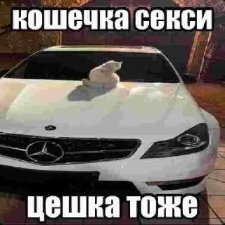 Sticker ванофкарс @EmojiRu_Bot - 10