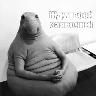 Стикер 1tab: @onetab_exchange - 0