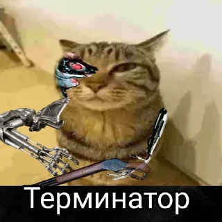 Стикер only mr penis - 8