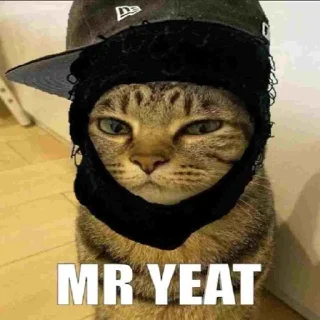 Стикер only mr penis - 2