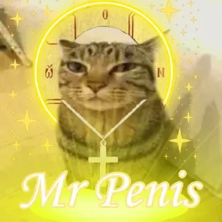 Стикер only mr penis - 5