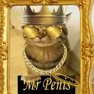 Стикер only mr penis - 10