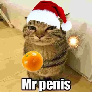 Стикер only mr penis - 7