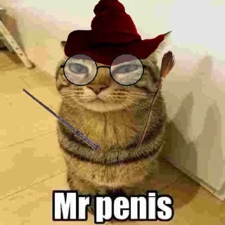 Стикер only mr penis - 3