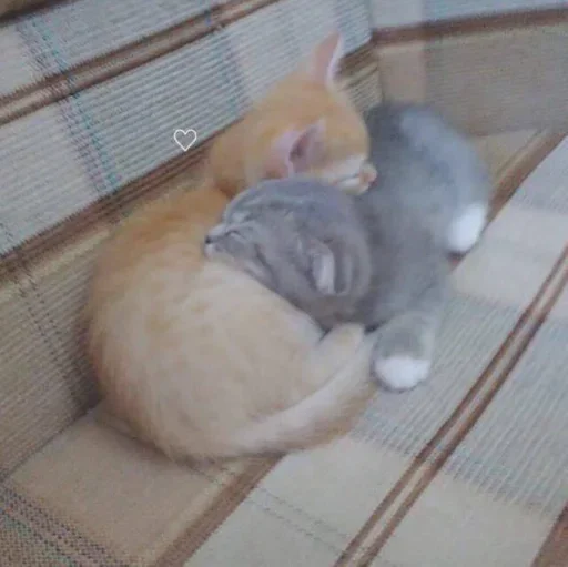 Стикер утро понедельника by @onothersideofknife - 8