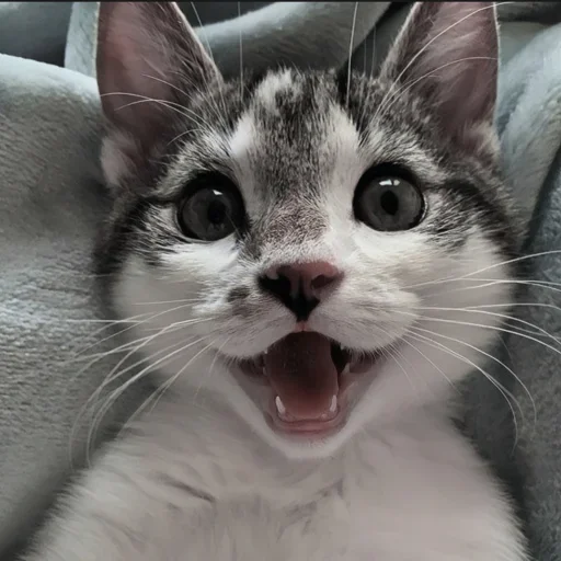 Sticker ooZiMlT_by_achestickbot - 1