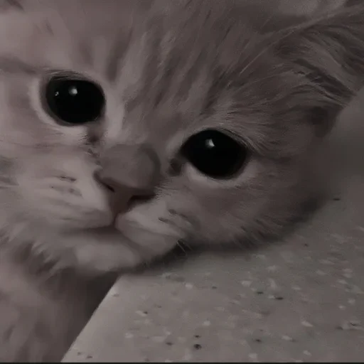 Sticker ooZiMlT_by_achestickbot - 1