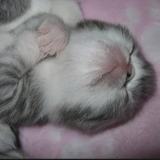 Sticker ooZiMlT_by_achestickbot - 1