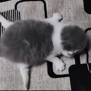 Стикер Больше стиков тут: @stikery4 - 4