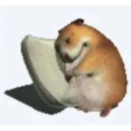 Sticker dcwdnofjowhr - 11