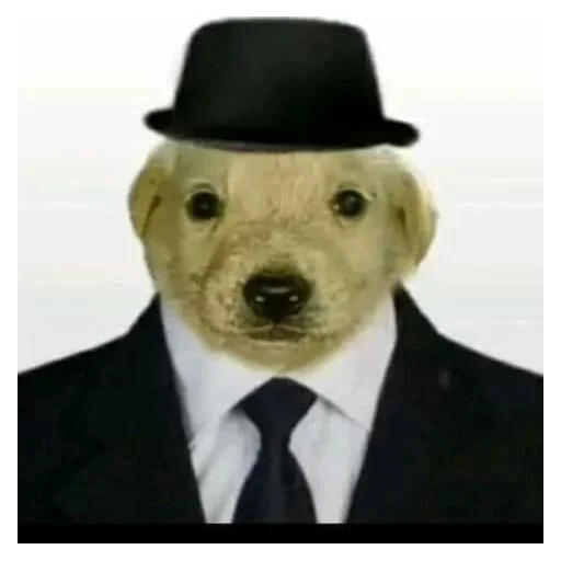 Sticker dcwdnofjowhr - 7