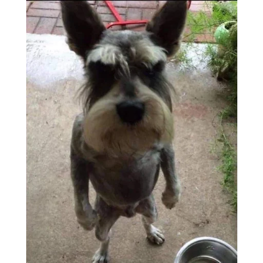 Sticker dcwdnofjowhr - 4