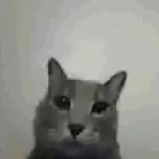 Sticker dcwdnofjowhr - 3