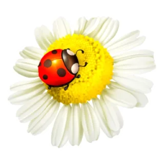 Стикер ☕️ - 4