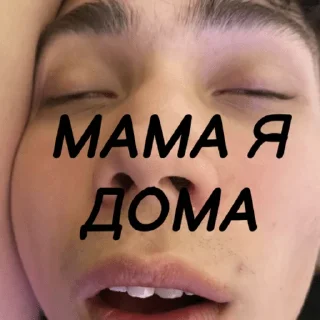 Sticker OPAL.ZONE - 8