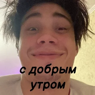 Sticker OPAL.ZONE - 5