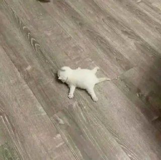 Sticker Живной пивотик - 11