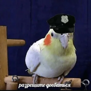 Sticker Тинька 2.0 - 1