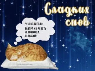 Sticker Тинька 2.0 - 5