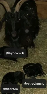 Sticker opium² by @opiumshtttt - 10