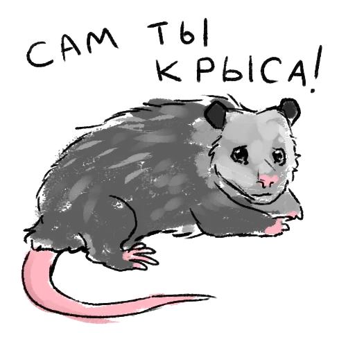 sketch drawing illustration