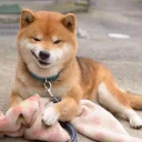 Sticker Optimistic Doge - 1