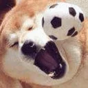 Sticker Optimistic Doge - 11