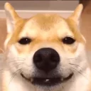 Sticker Optimistic Doge - 7