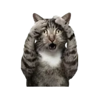 Sticker OPTIMUS_PRIME2005(followers) - 4