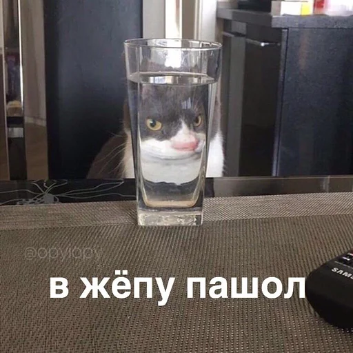 glass indoor container