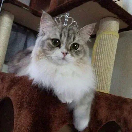 Sticker oqlbQmZHuw_by_stickers_stealer_bot - 1