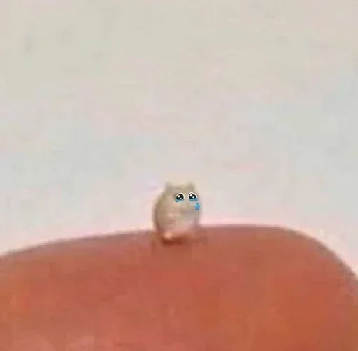 Стикер oqlbQmZHuw_by_stickers_stealer_bot - 1