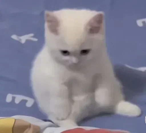 Sticker oqlbQmZHuw_by_stickers_stealer_bot - 1