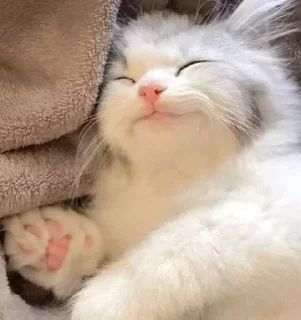 Стикер Больше стикеров 👉🏻 @stickertg4 - 9