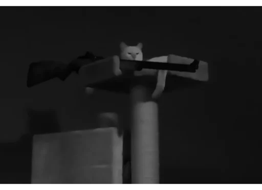 𝐒𝐆® 𝐨𝐪𝐩𝐥𝐜 — ᴘʟᴀᴄᴇ. - black and white