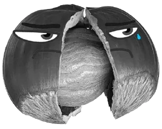 Стикер Nut @stickersb2b - 0