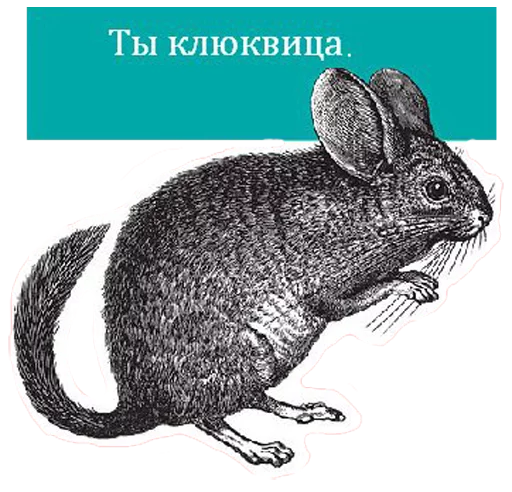 Стикер O'Reilly bookshelf stickers - 9