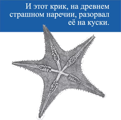 Стикер O'Reilly bookshelf stickers - 8