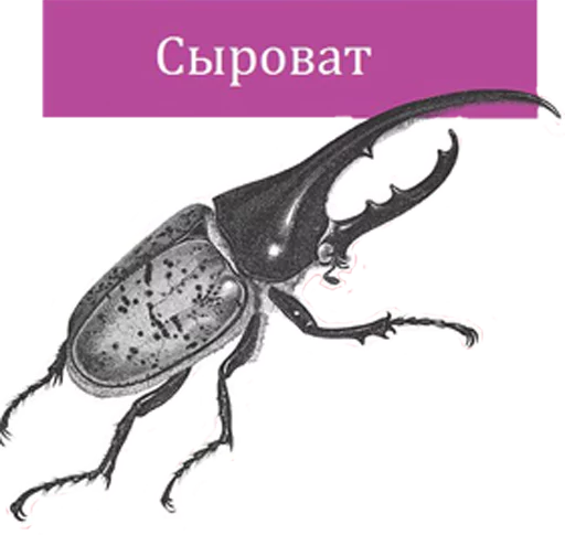 Стикер O'Reilly bookshelf stickers - 7