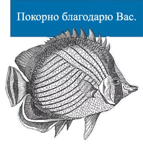 Стикер O'Reilly bookshelf stickers - 4