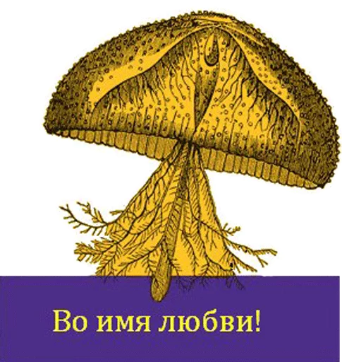 Стикер O'Reilly bookshelf stickers - 2