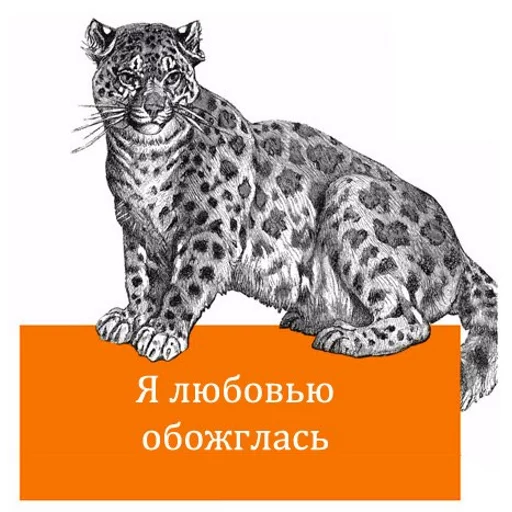 животное млекопитающее СМС