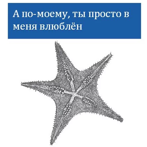 животное СМС беспозвоночный