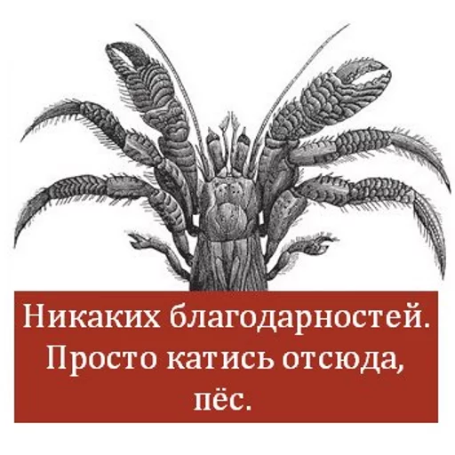 СМС растение проектировать