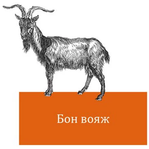 коза животное млекопитающее