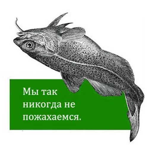 O'Reilly bookshelf memes - СМС