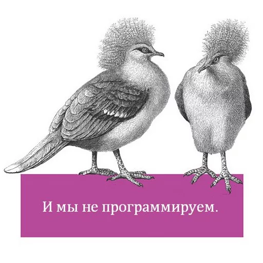 эскиз рисование птица