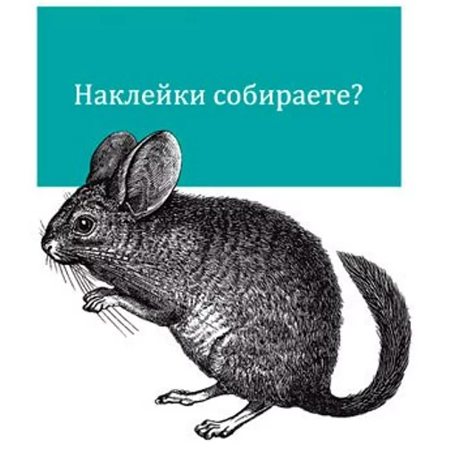 грызун животное млекопитающее