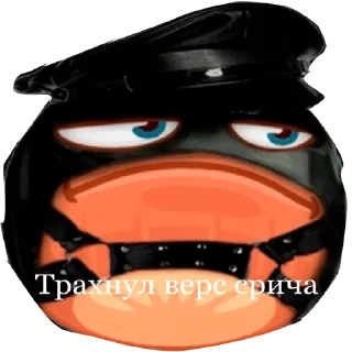 Sticker orehussnositsrich - 1